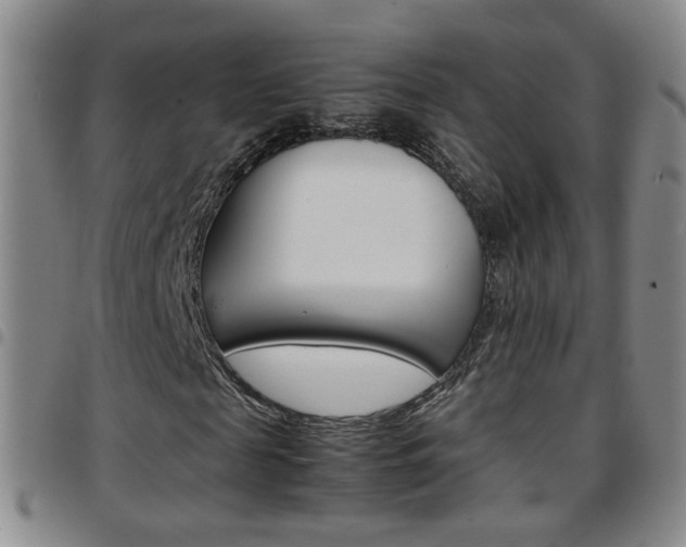 X0000097920817200803141028