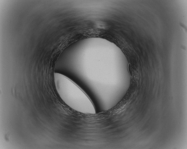 X0000097920818200803141028