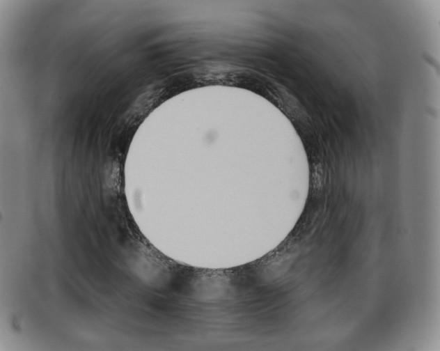 X0000097920820200803141029