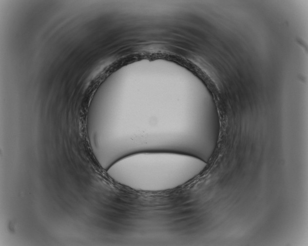 X0000097920823200803141029