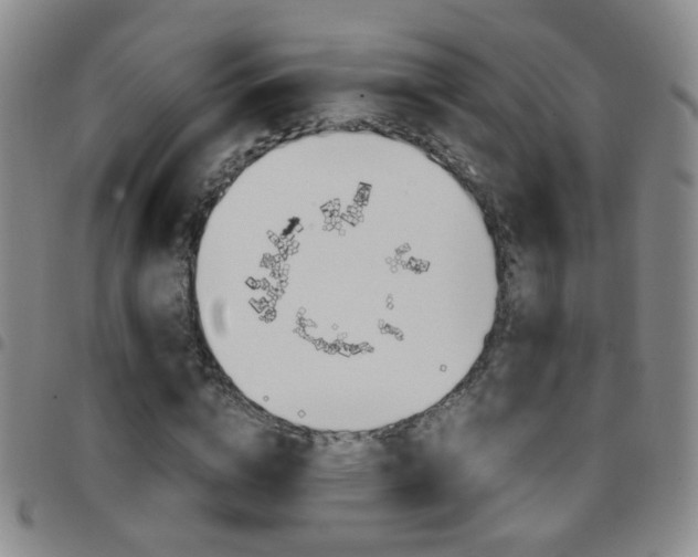 X0000097920824200803141029