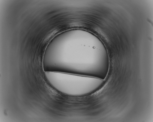 X0000097920825200803141029