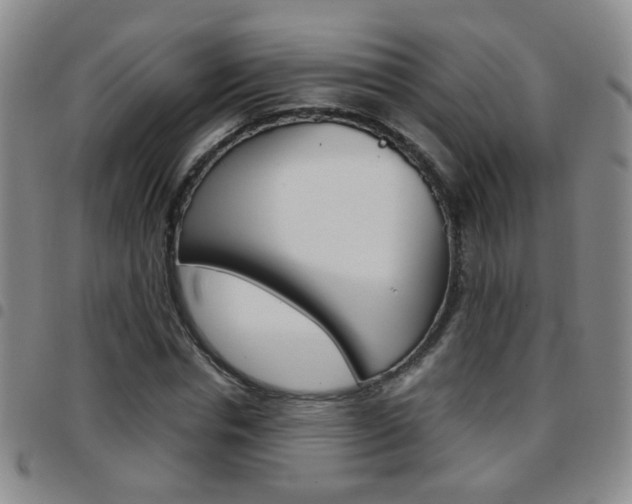 X0000097920826200803141029