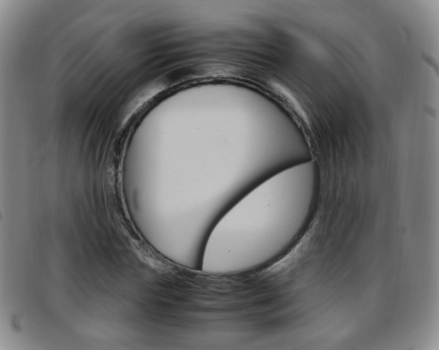 X0000097920827200803141029