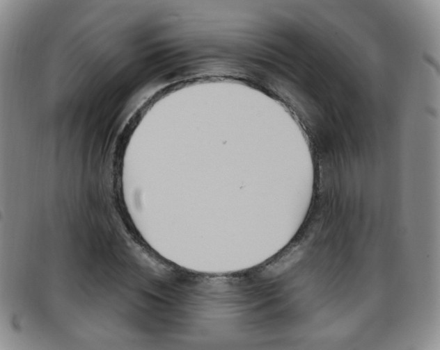 X0000097920828200803141029