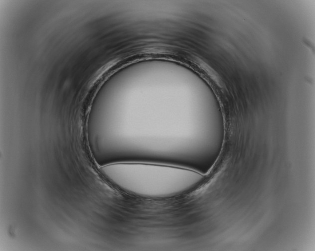X0000097920829200803141029