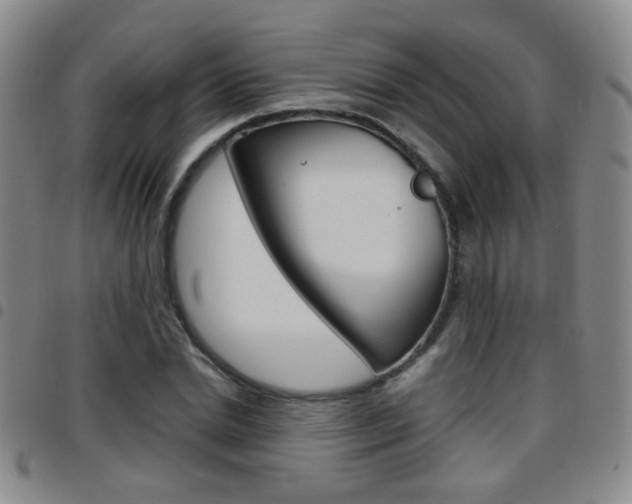 X0000097920830200803141029