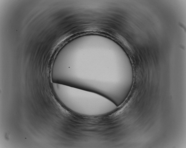 X0000097920831200803141029
