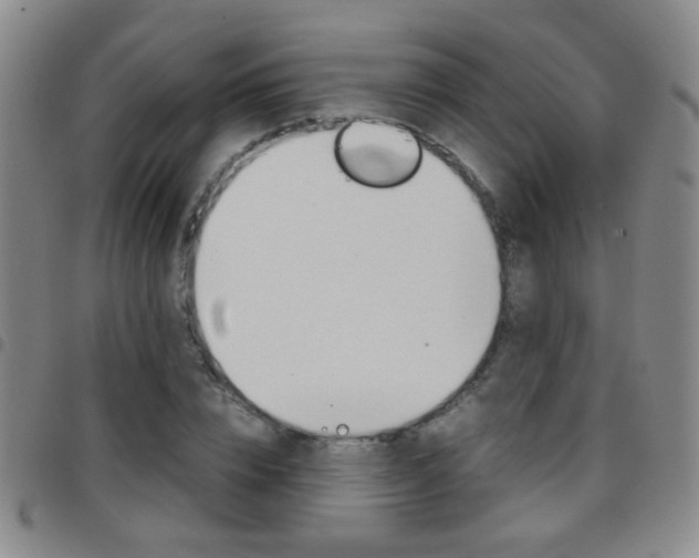 X0000097920832200803141029