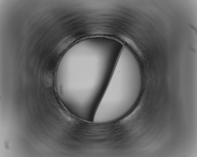 X0000097920833200803141029