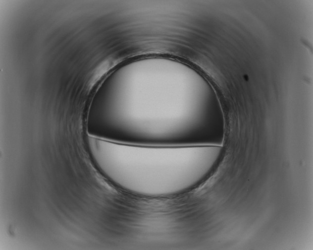 X0000097920834200803141029