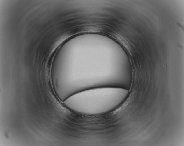 X0000097920835200803141029