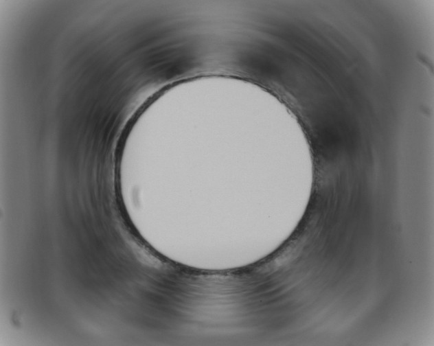 X0000097920836200803141029