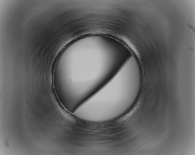 X0000097920837200803141029
