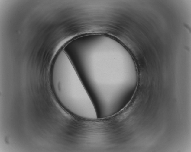 X0000097920838200803141029