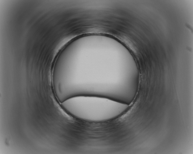 X0000097920839200803141029