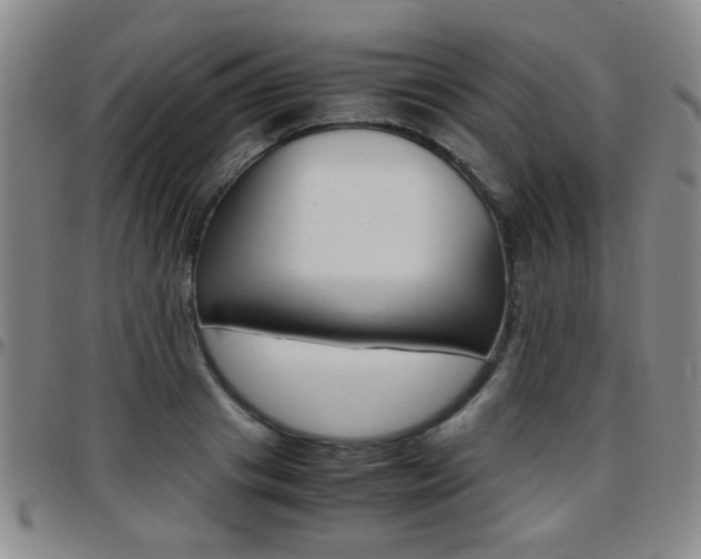 X0000097920841200803141029