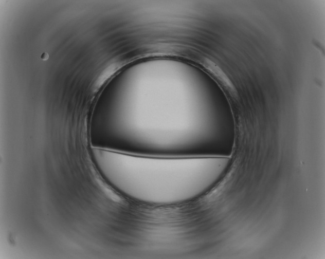 X0000097920842200803141029