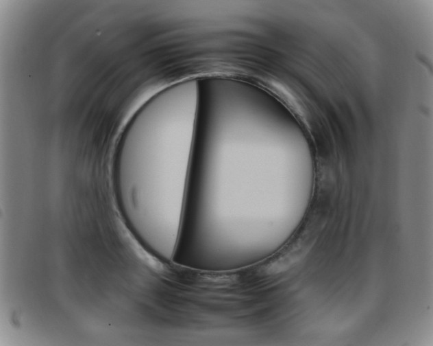 X0000097920843200803141029