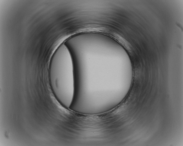 X0000097920844200803141029