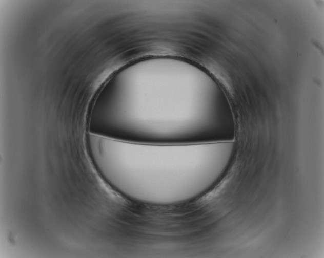 X0000097920845200803141029