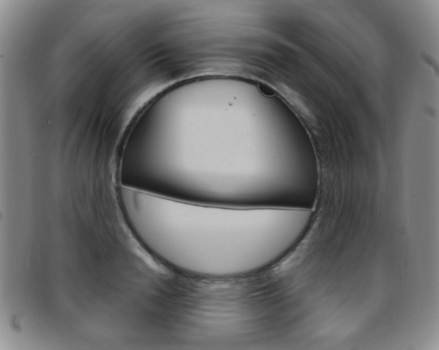 X0000097920846200803141029