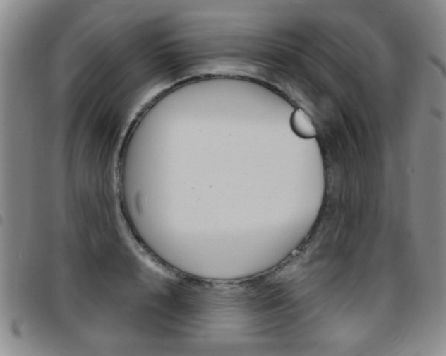 X0000097920848200803141029