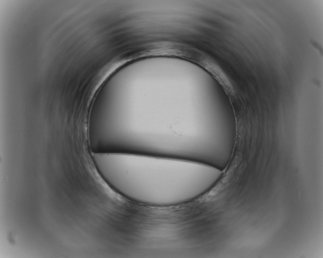 X0000097920852200803141029
