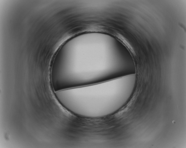 X0000097920853200803141029