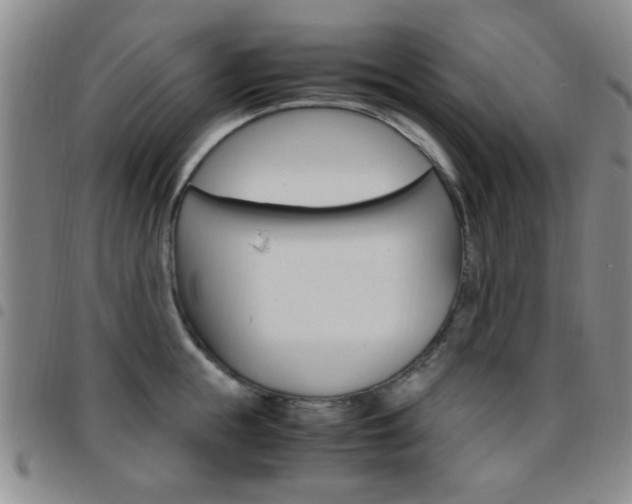 X0000097920855200803141029