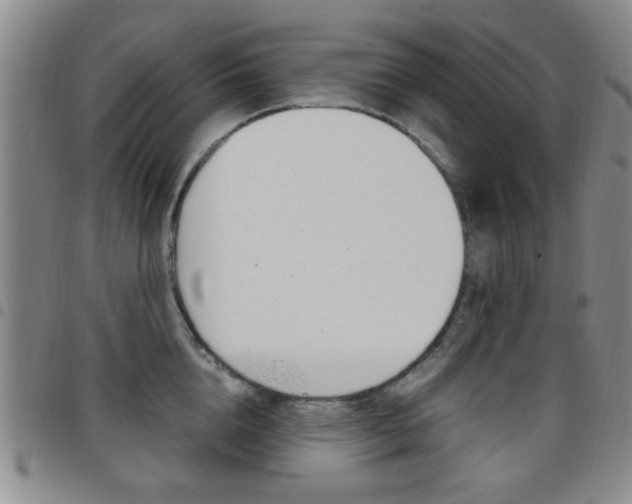 X0000097920856200803141029
