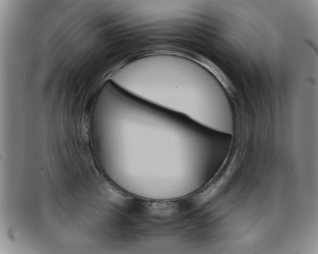 X0000097920857200803141029