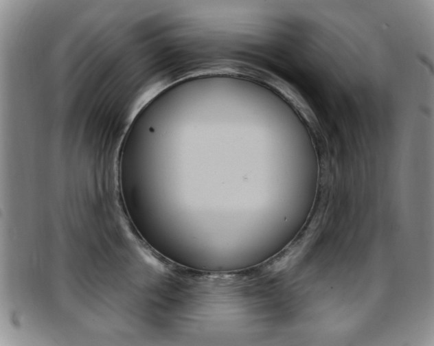 X0000097920858200803141029