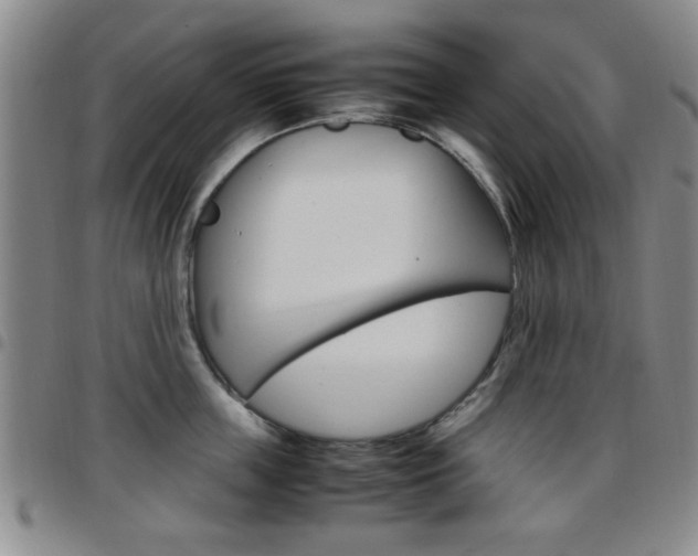 X0000097920859200803141029