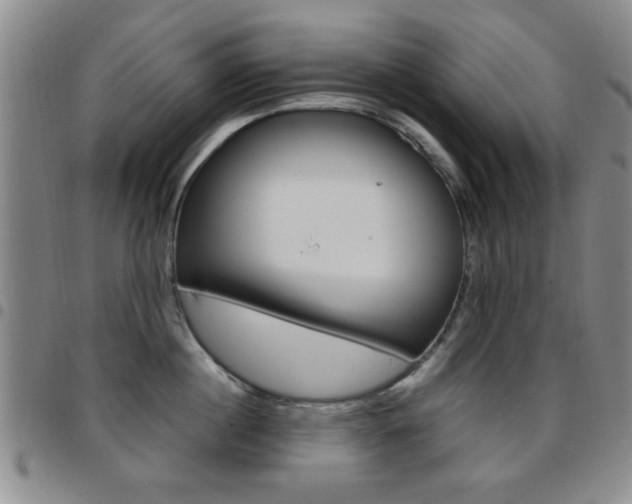 X0000097920860200803141029