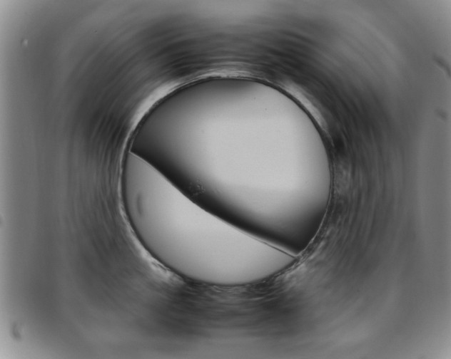X0000097920861200803141029