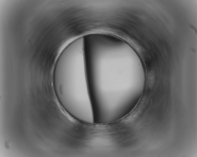X0000097920862200803141029