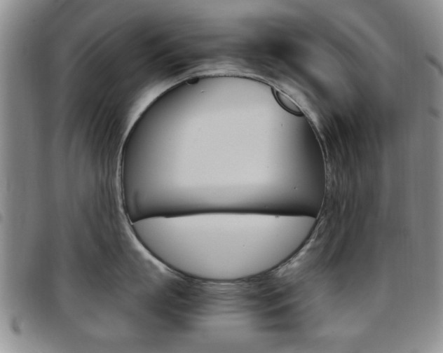 X0000097920863200803141029