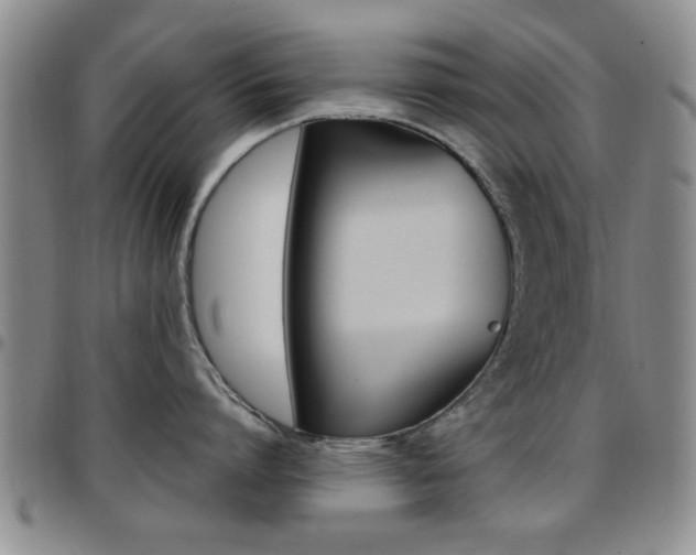 X0000097920864200803141029