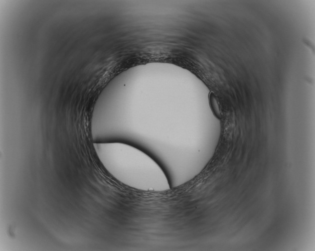 X0000097920866200803141028
