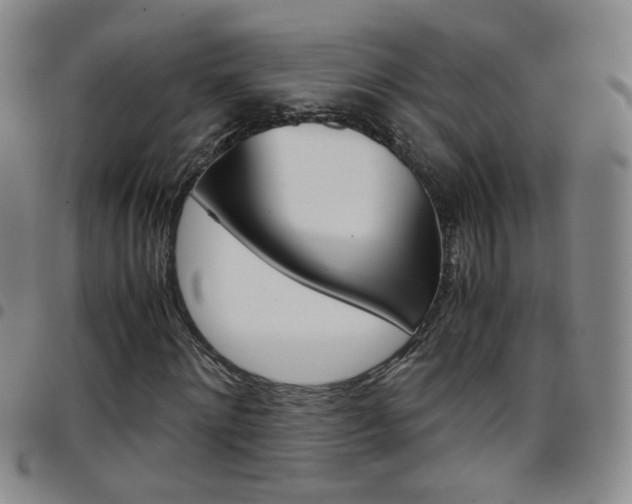 X0000097920868200803141028