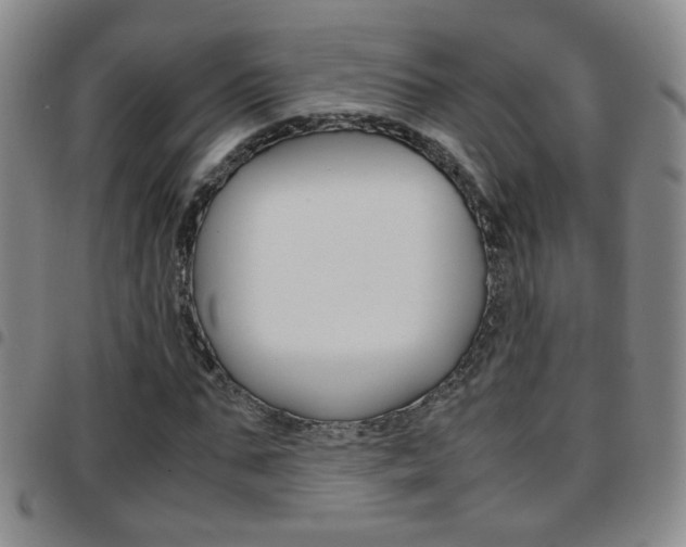 X0000097920871200803141028