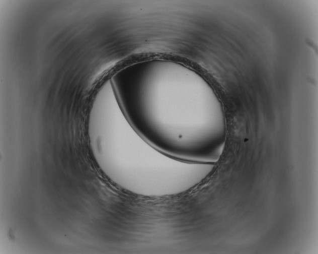X0000097920872200803141028