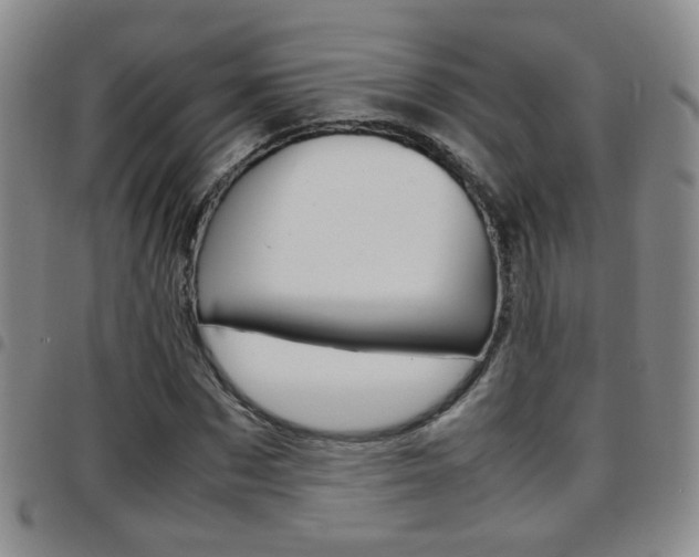 X0000097920873200803141028