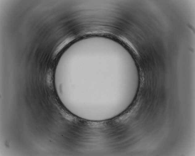 X0000097920874200803141028