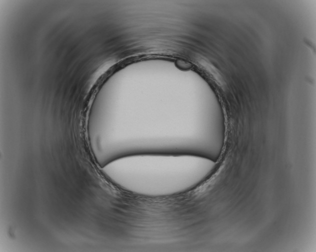 X0000097920875200803141028