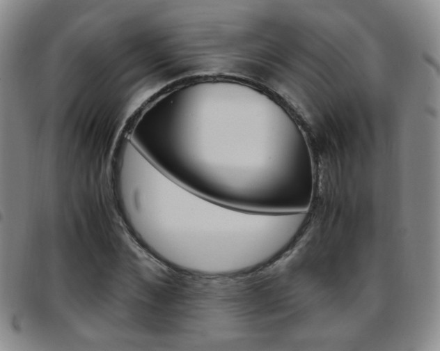 X0000097920876200803141028