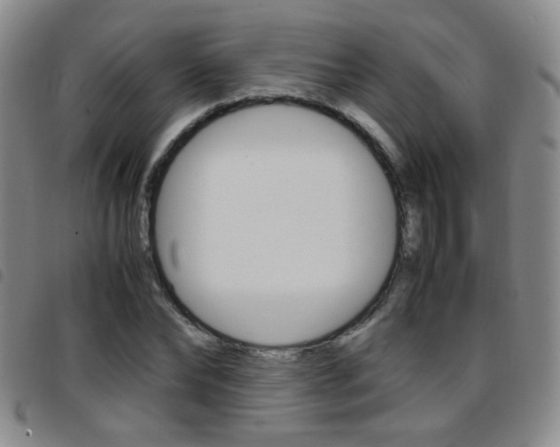 X0000097920878200803141028