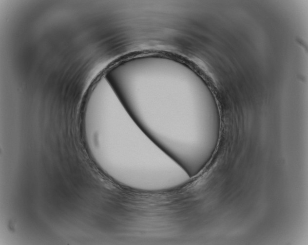 X0000097920879200803141028