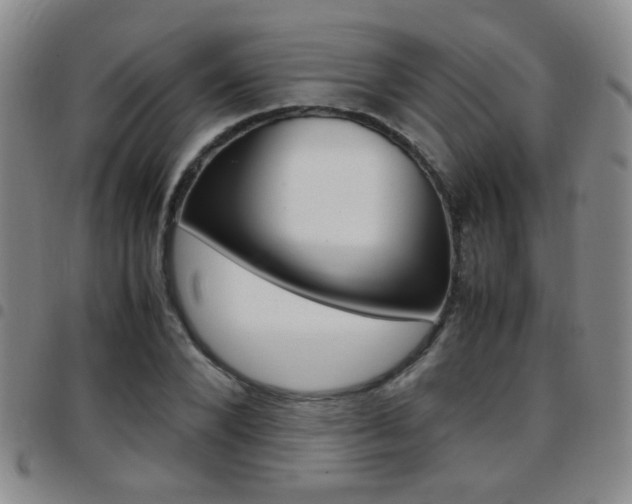 X0000097920880200803141028